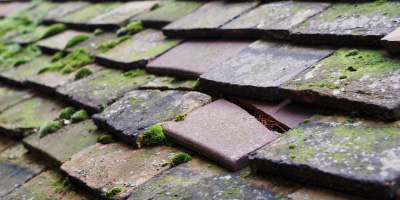 Tyringham roof repair costs